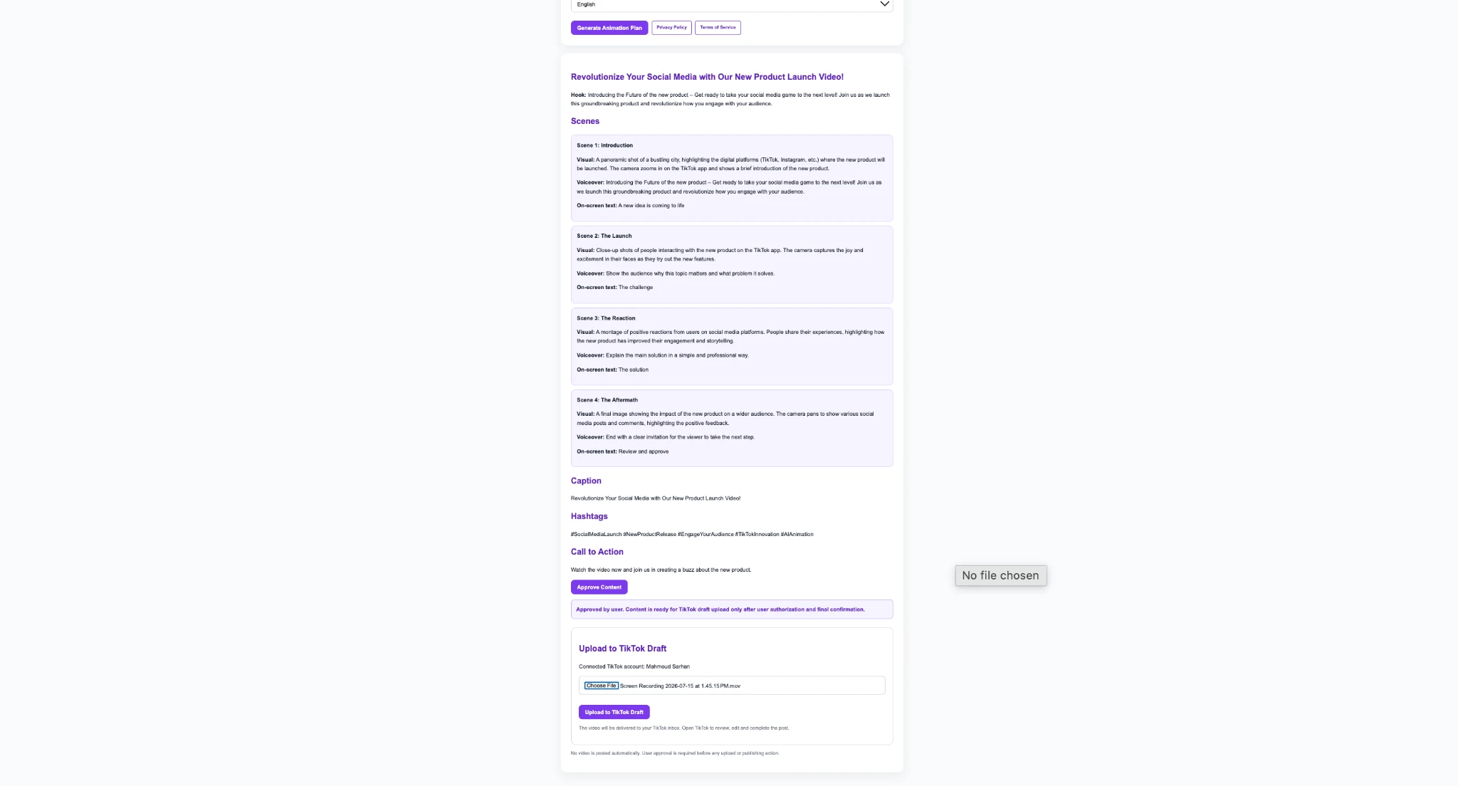Approved animation plan with TikTok account connection and local video file selection